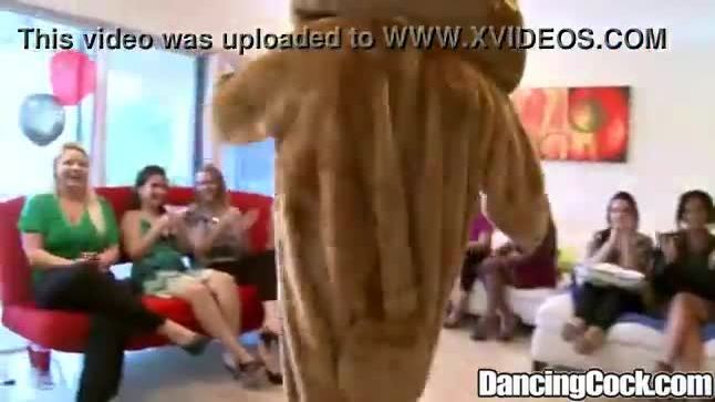 Dancingcock big bear party